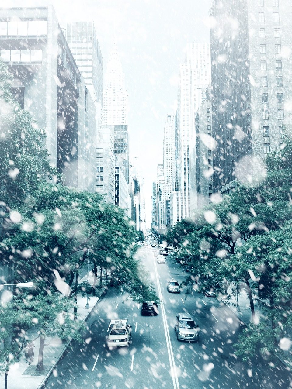 面談が・・・。