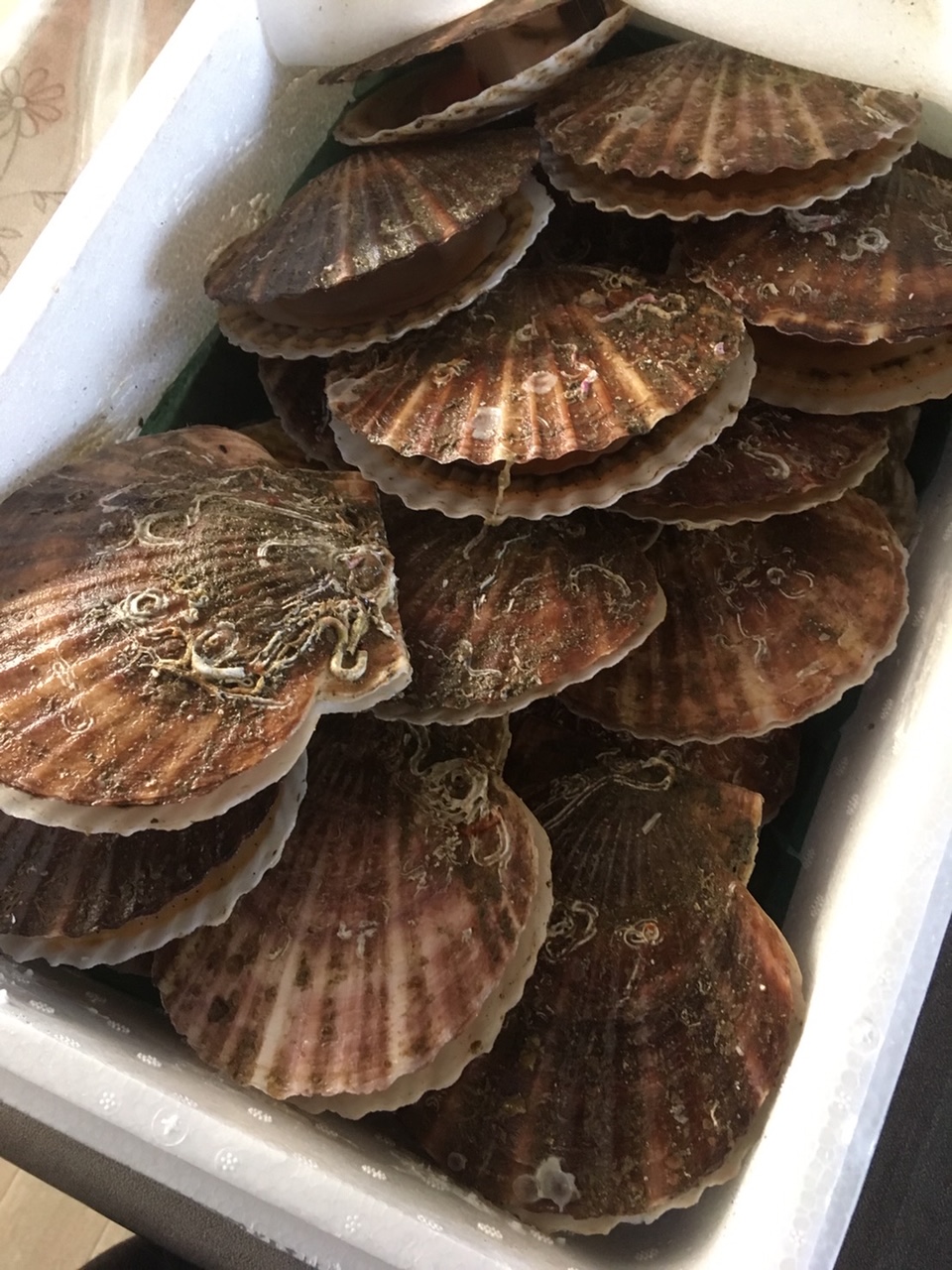 なんだか気負いすぎているのかね