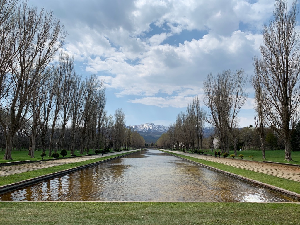 もう色々と忘れている。公式諸々と。