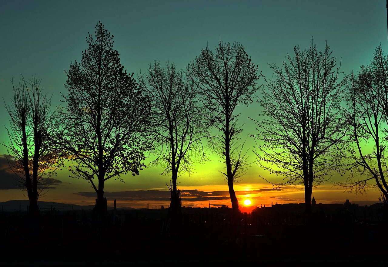 模試返却と突破模試