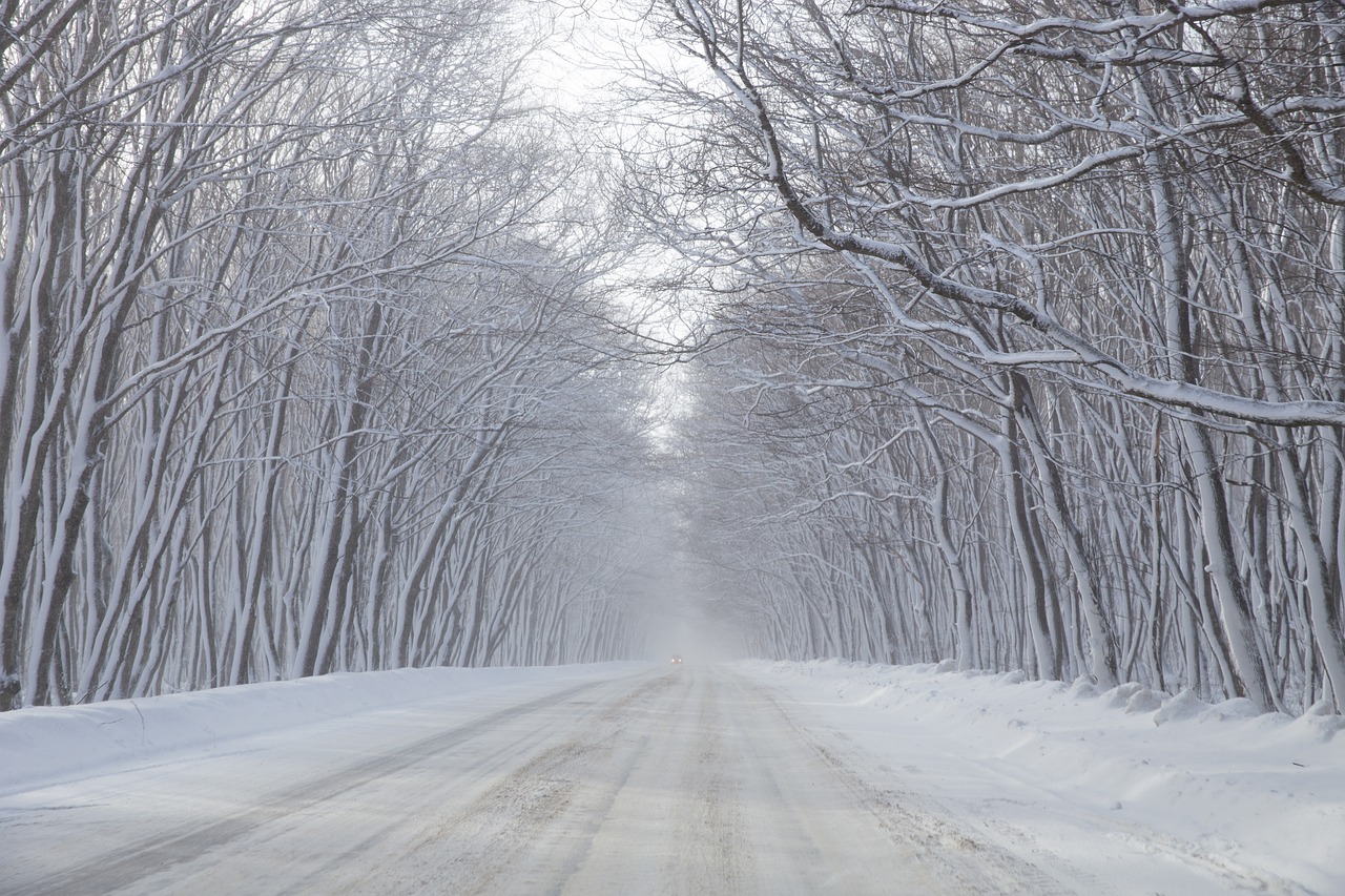 模試と説明会参加